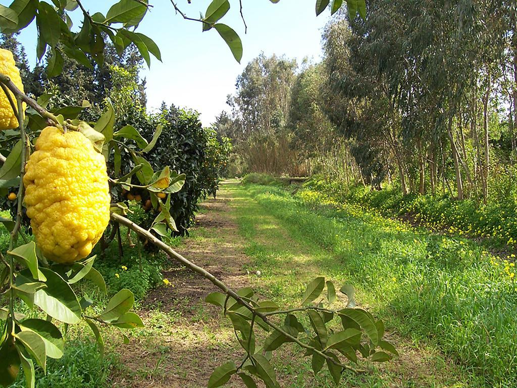 Luna&Limoni Country Muravera Exterior photo